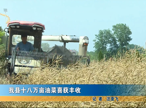 我縣十八萬(wàn)畝油菜喜獲豐收